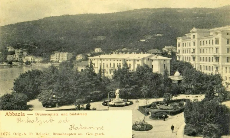 Hoće li Cedar u Perivoju mladenaca postati Hrvatsko stablo godine 2020. godine?