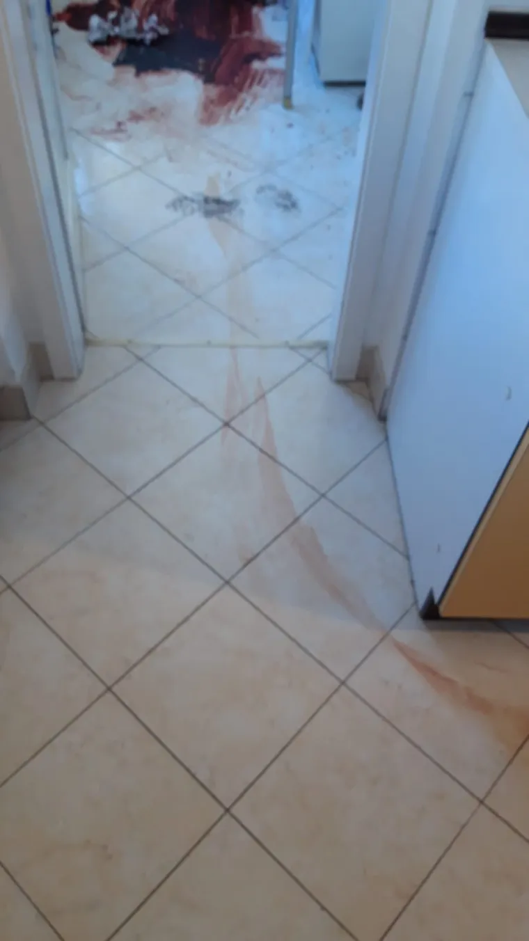 UZNEMIRUJUĆI SADRŽAJ: Prizori iz stana u kojem je monstruozno ubijena starica