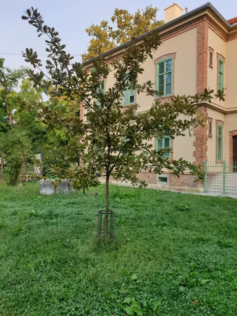 Zaljubljeni Adam iz Daruvara proslavio je Hrvatsku diljem Europe, a sada je vrijeme da izaberete njegova nasljednika