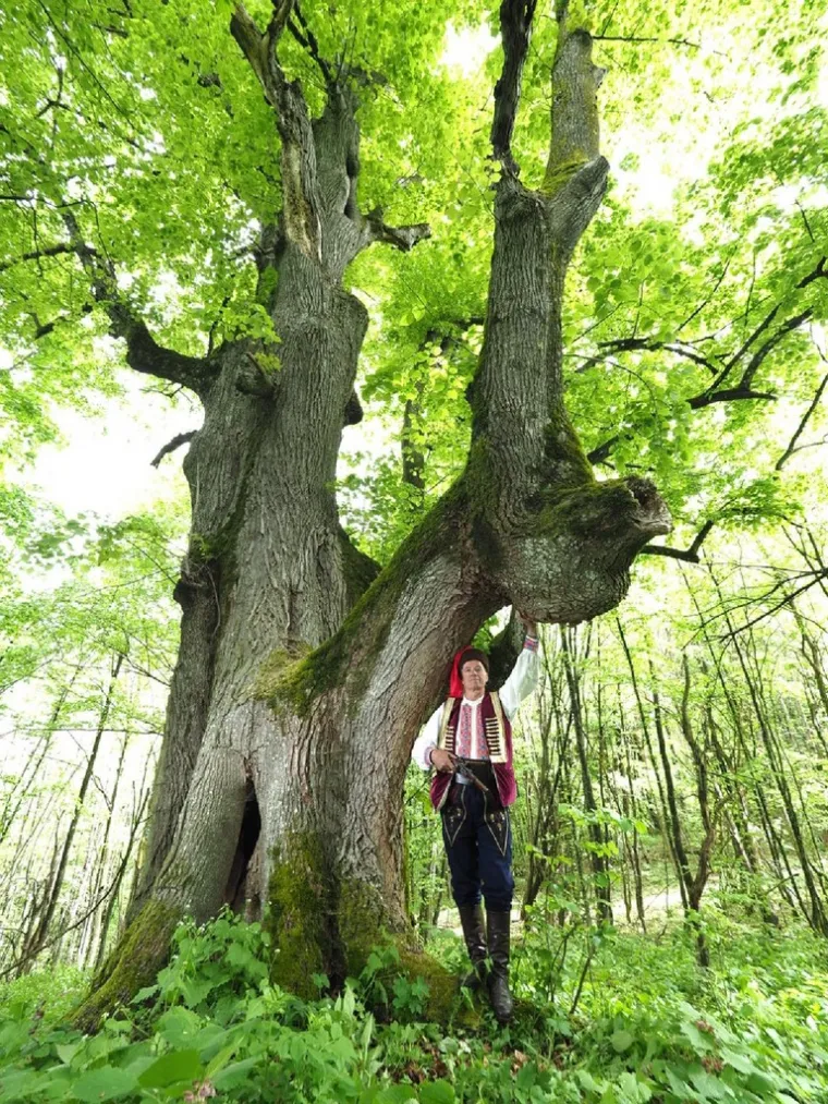 Zaljubljeni Adam iz Daruvara proslavio je Hrvatsku diljem Europe, a sada je vrijeme da izaberete njegova nasljednika