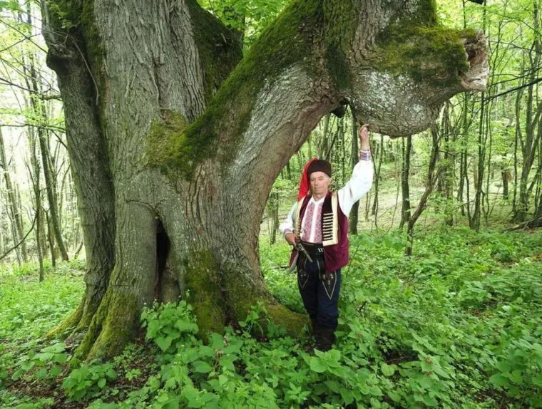 Zaljubljeni Adam iz Daruvara proslavio je Hrvatsku diljem Europe, a sada je vrijeme da izaberete njegova nasljednika