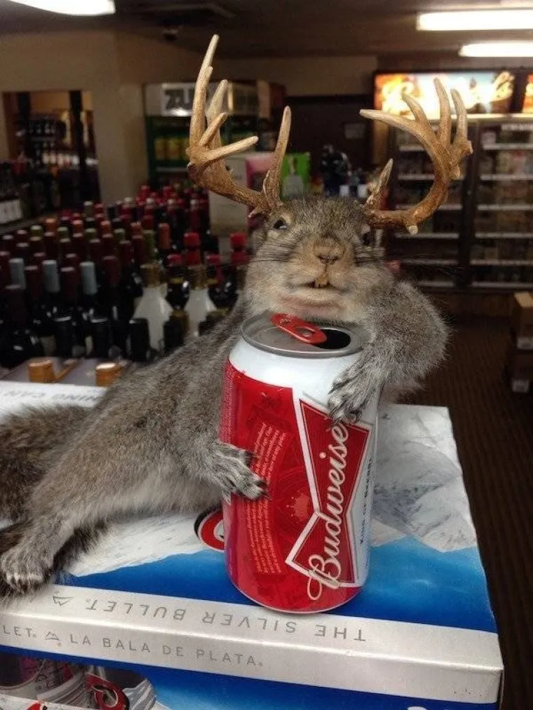 ZA VIKEND STE MALO PRETJERALI S CUGOM? Drugi put pripazite da ne završite na stupu srama s ovim baksuzima