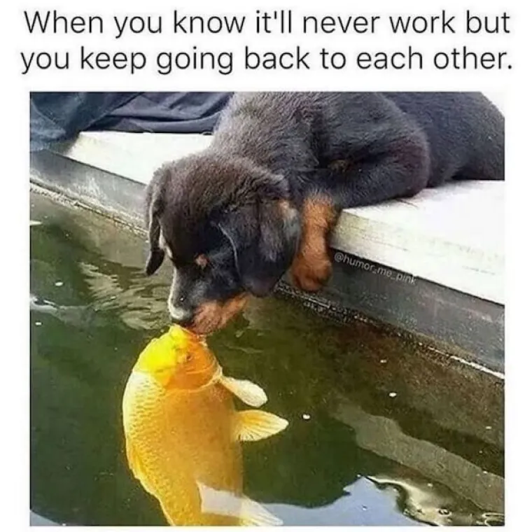 OVE FOTKE MOGU SKUŽITI SAMO ŽENE: Dečki, jesu li vam sada malo jasnije va&scaron;e bolje polovice?