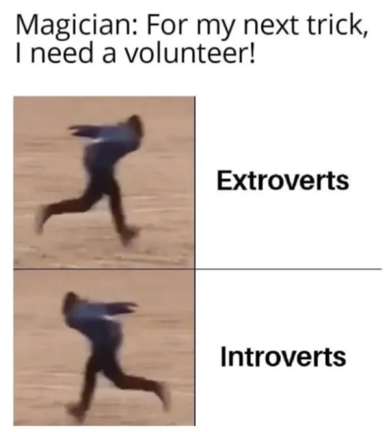 I TO SMO DOČEKALI, INTROVERTI SU NAPOKON PROGOVORILI, ALI SAMO KROZ MEMOVE: Evo što nam sve žele poručiti