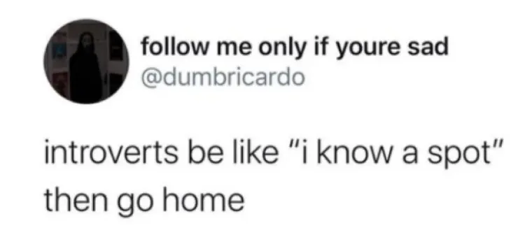 I TO SMO DOČEKALI, INTROVERTI SU NAPOKON PROGOVORILI, ALI SAMO KROZ MEMOVE: Evo &scaron;to nam sve žele poručiti