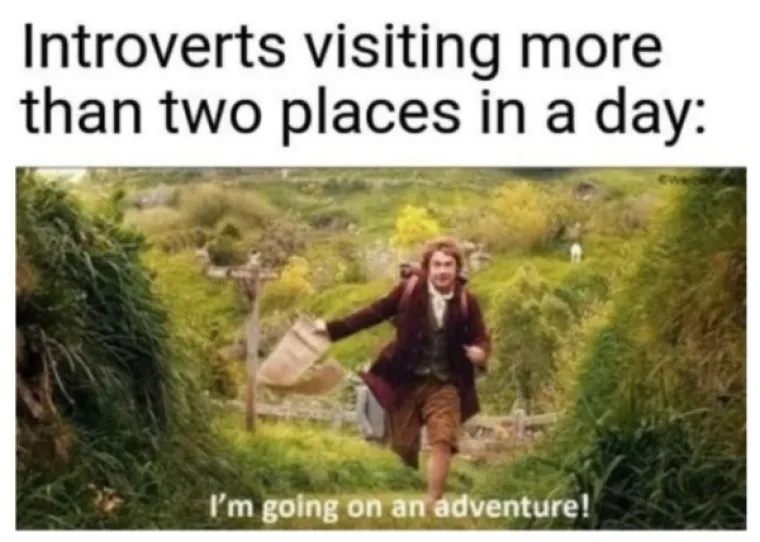 I TO SMO DOČEKALI, INTROVERTI SU NAPOKON PROGOVORILI, ALI SAMO KROZ MEMOVE: Evo &scaron;to nam sve žele poručiti