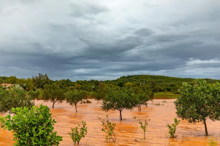 Obilna kiša u Istri: Maslinici i vinogradi 'plivaju' u narančastoj bujici