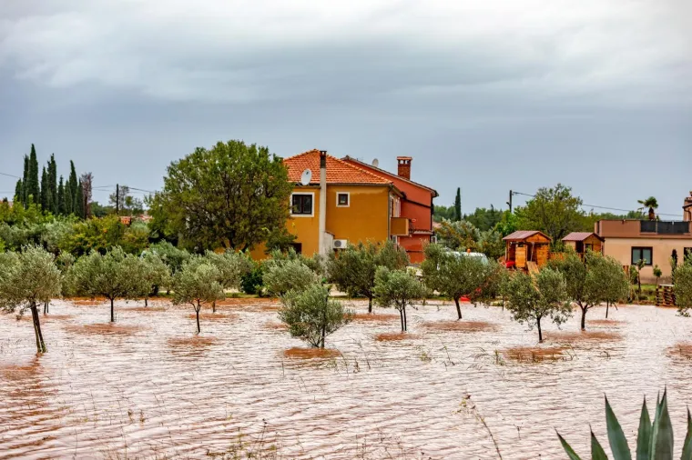 Obilna kiša u Istri: Maslinici i vinogradi 'plivaju' u narančastoj bujici