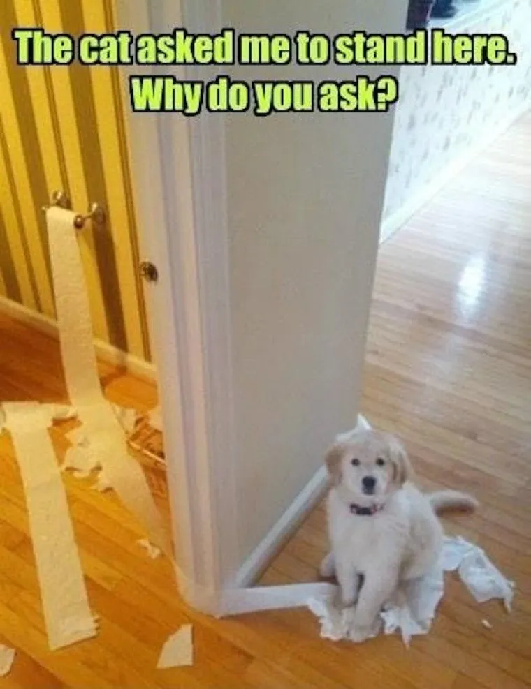 PONEDJELJAK JE DAN ZA SH*T HAPPENS: Ako vas tje&scaron;i, failovi mogu biti urnebesni, ne samo bolni