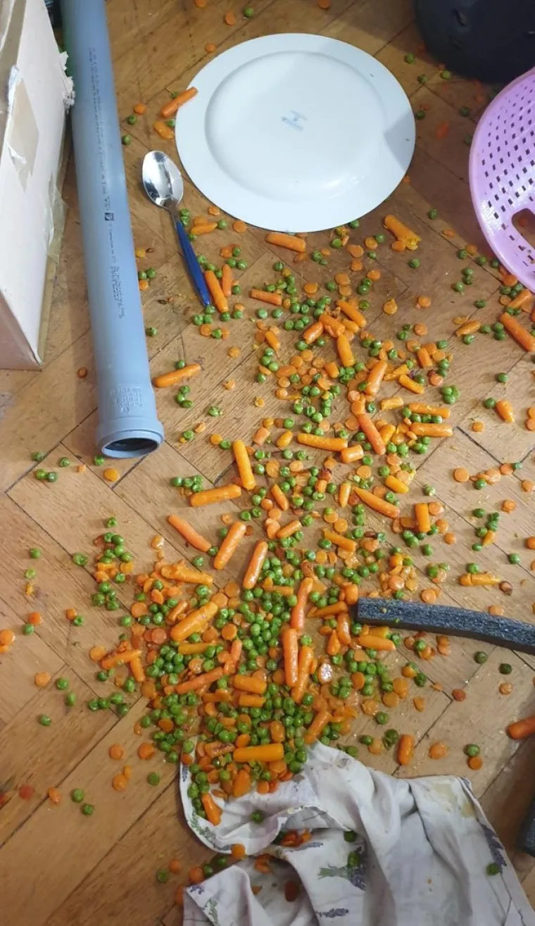 PONEDJELJAK JE DAN ZA SH*T HAPPENS: Ako vas tje&scaron;i, failovi mogu biti urnebesni, ne samo bolni