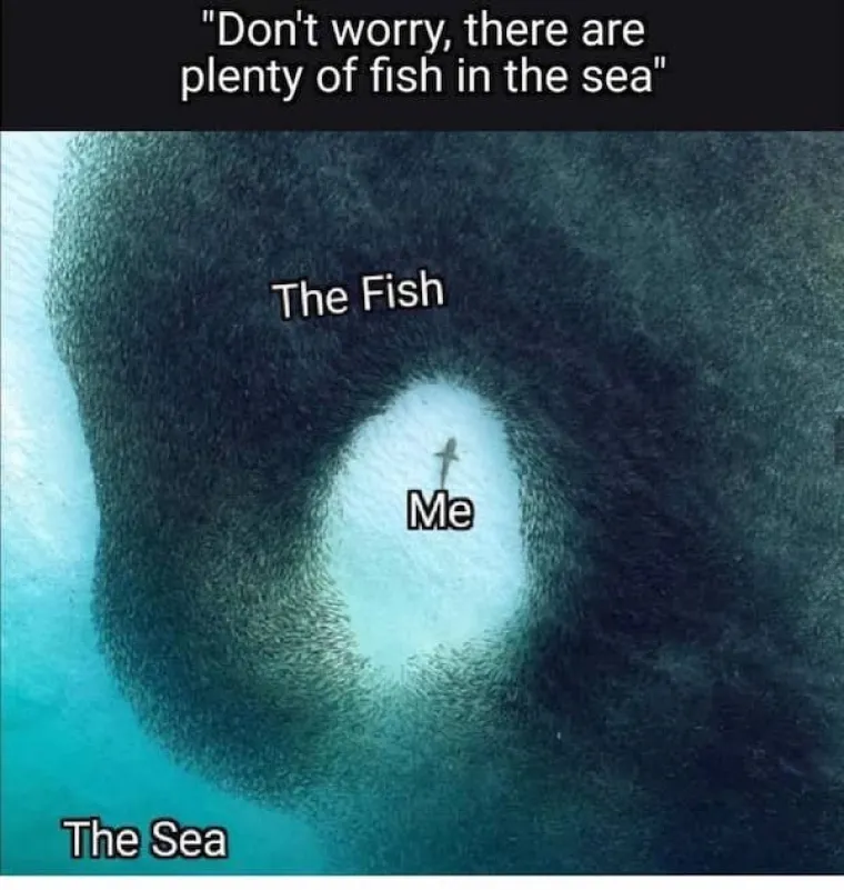 ONO KAD VAS PITAJU 'KAD ĆE&Scaron; SE ŽENITI?': Ove memove mogu razumjeti samo solo igrači i prilično je bolno