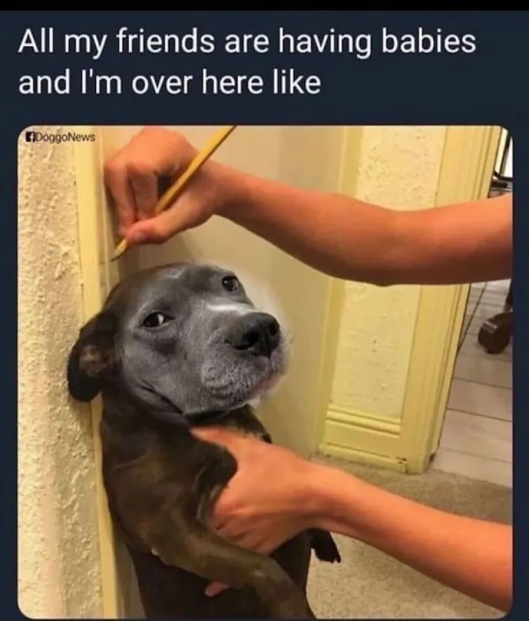 ONO KAD VAS PITAJU 'KAD ĆE&Scaron; SE ŽENITI?': Ove memove mogu razumjeti samo solo igrači i prilično je bolno