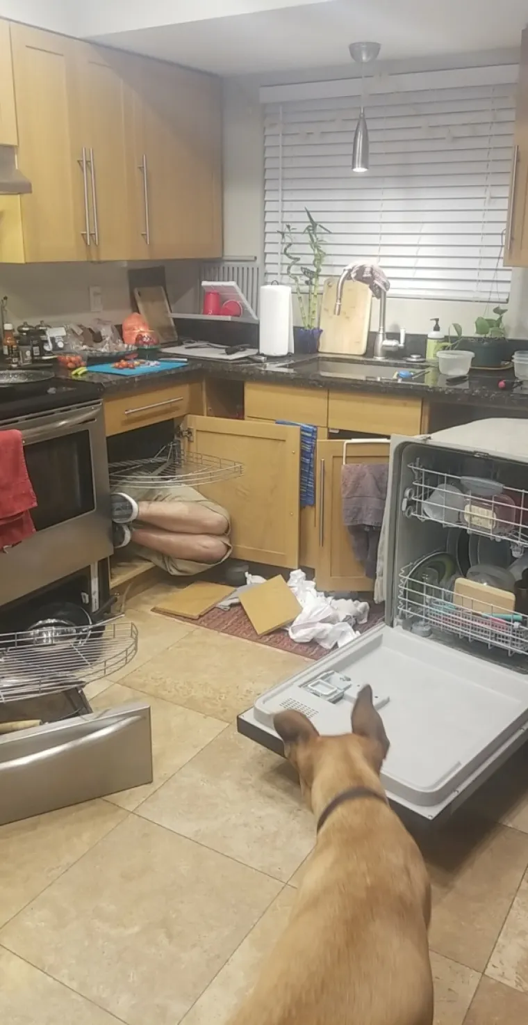 NAJGORA PIJANSTVA OVOG VIKENDA: Nekako nam se čini da će njihov ponedjeljak biti puno teži nego vaš