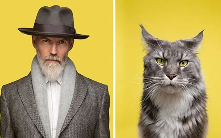 Kakva mačka, takav vlasnik? Fotograf uočio genijalne sličnosti