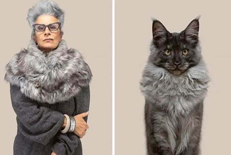 Kakva mačka, takav vlasnik? Fotograf uočio genijalne sličnosti