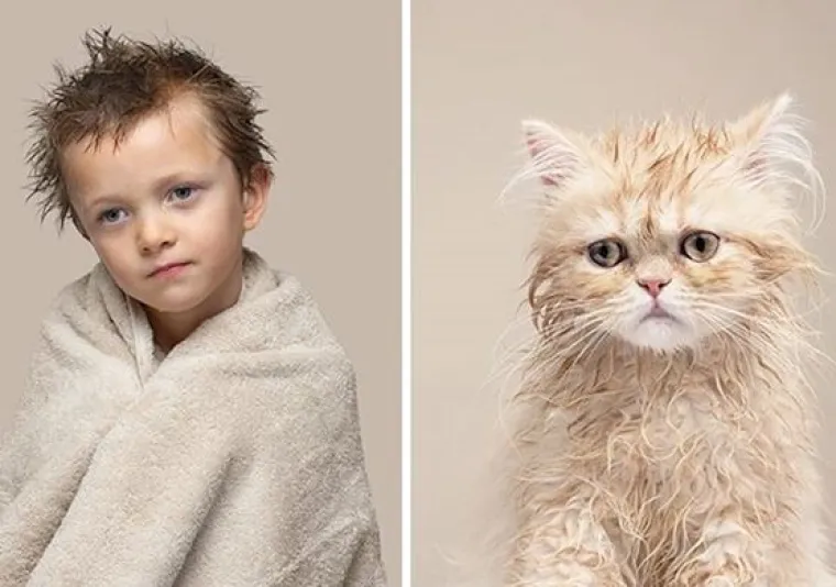 Kakva mačka, takav vlasnik? Fotograf uočio genijalne sličnosti