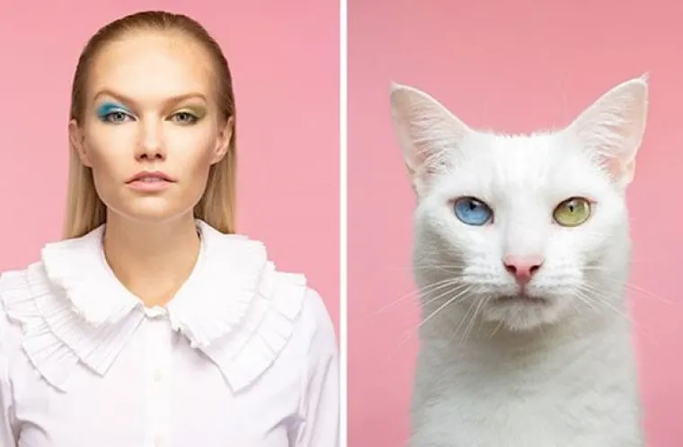 Kakva mačka, takav vlasnik? Fotograf uočio genijalne sličnosti