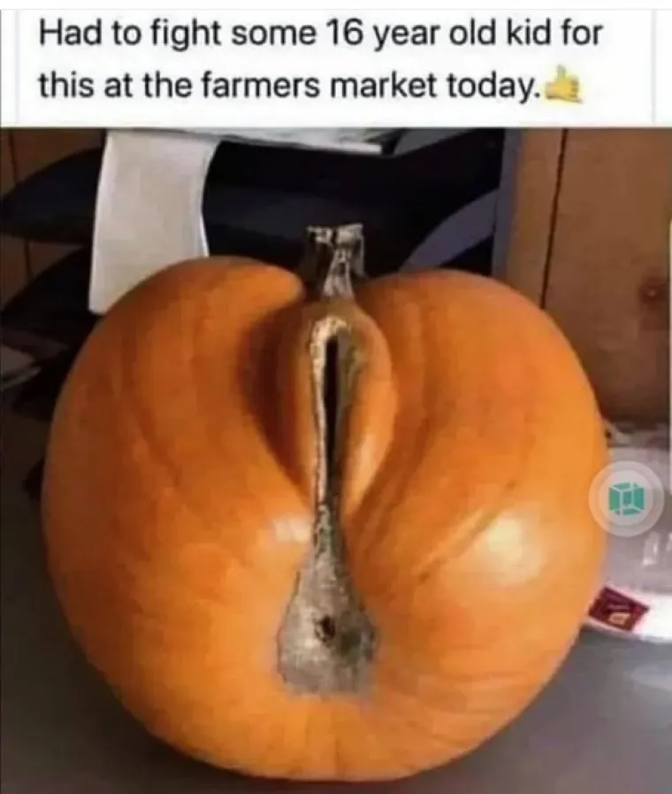 HVALA, ALI NE HVALA: Rijetko tko ima želudac za ovakve gadarije, jeste li možda vi jedan od tih sretnika?