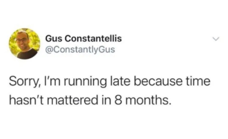 SVI SE SLAŽEMO DA JE 2020. NAJGORA GODINA IKAD: Srećom memovi nikad nisu bili bolji