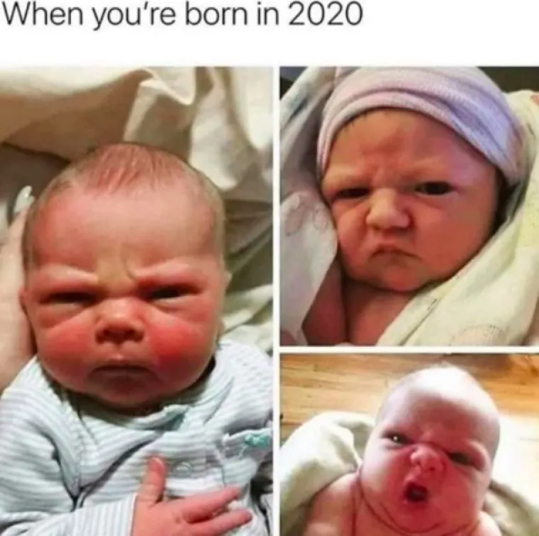 SVI SE SLAŽEMO DA JE 2020. NAJGORA GODINA IKAD: Srećom memovi nikad nisu bili bolji