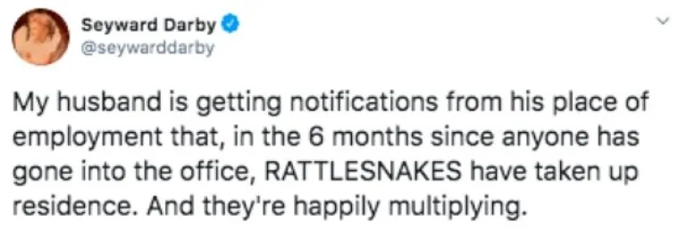 SVI SE SLAŽEMO DA JE 2020. NAJGORA GODINA IKAD: Srećom memovi nikad nisu bili bolji