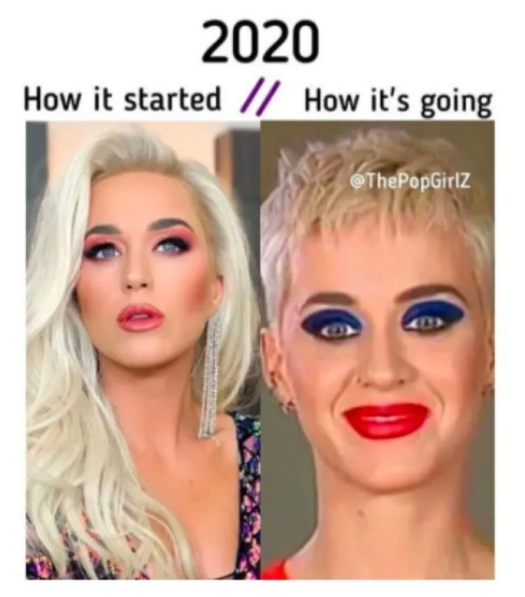 SVI SE SLAŽEMO DA JE 2020. NAJGORA GODINA IKAD: Srećom memovi nikad nisu bili bolji