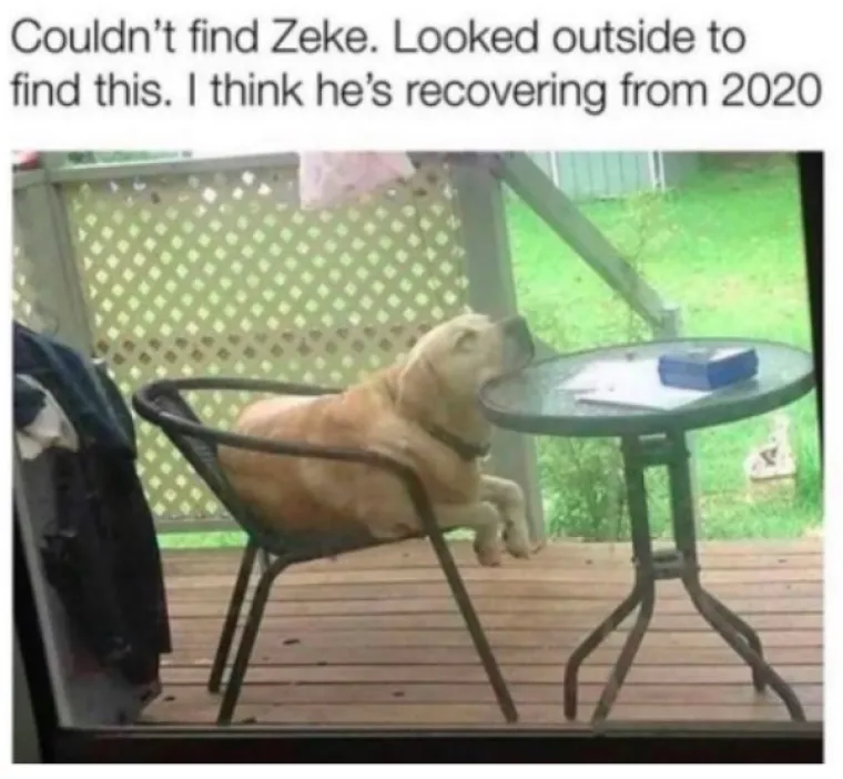 SVI SE SLAŽEMO DA JE 2020. NAJGORA GODINA IKAD: Srećom memovi nikad nisu bili bolji