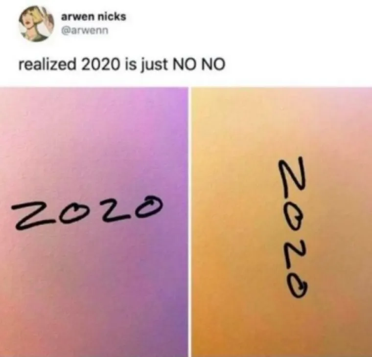 SVI SE SLAŽEMO DA JE 2020. NAJGORA GODINA IKAD: Srećom memovi nikad nisu bili bolji