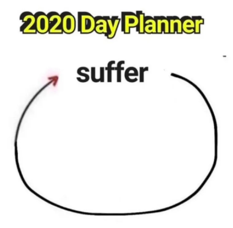 SVI SE SLAŽEMO DA JE 2020. NAJGORA GODINA IKAD: Srećom memovi nikad nisu bili bolji