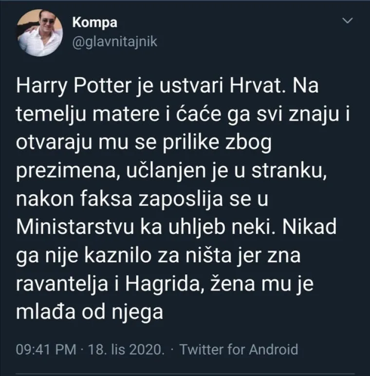 Hrvat na urnebesan način opisao likove iz Harry Pottera
