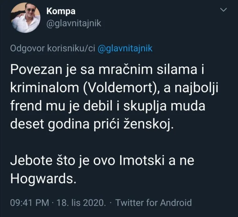 Hrvat na urnebesan način opisao likove iz Harry Pottera