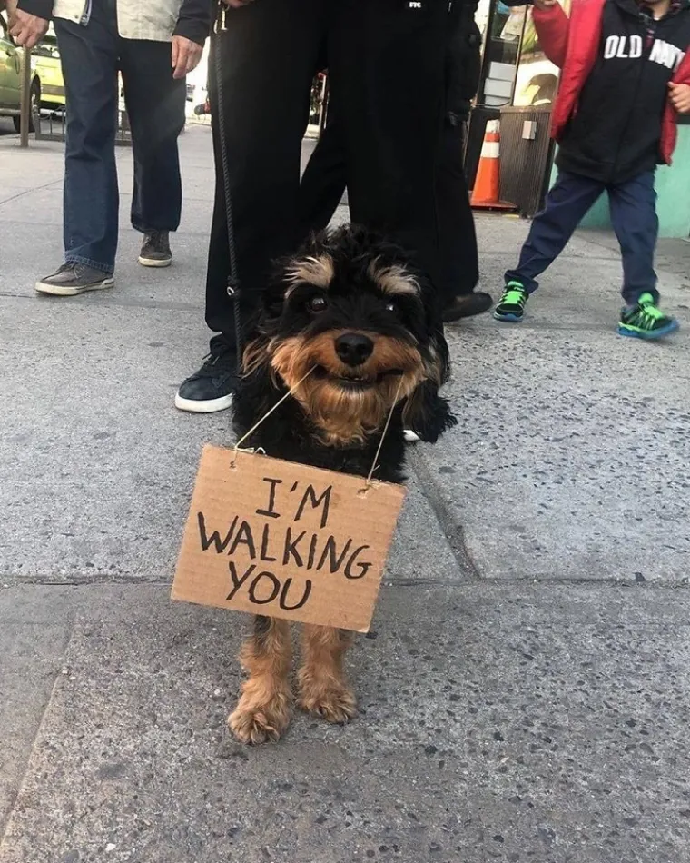 "Ja zapravo &scaron;etam tebe"
