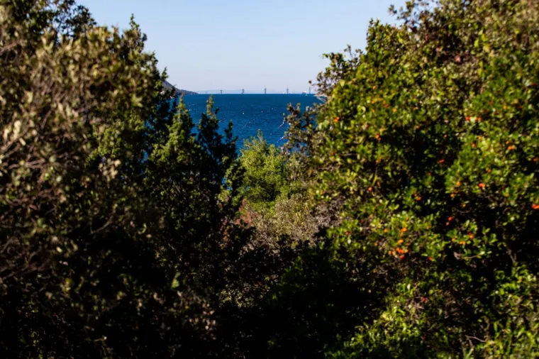 PELJE&Scaron;KI MOST POPRIMA SVOJ OBLIK: Pogledajte najnovije fotografije projekta vrijednog gotovo četiri milijarde kuna