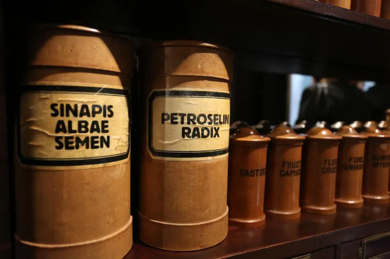 U Rijeci otvoren prvi hrvatski specijalizirani Muzej farmacije: Zmija i ljekarnik Pablo nude pregr&scaron;t savjeta