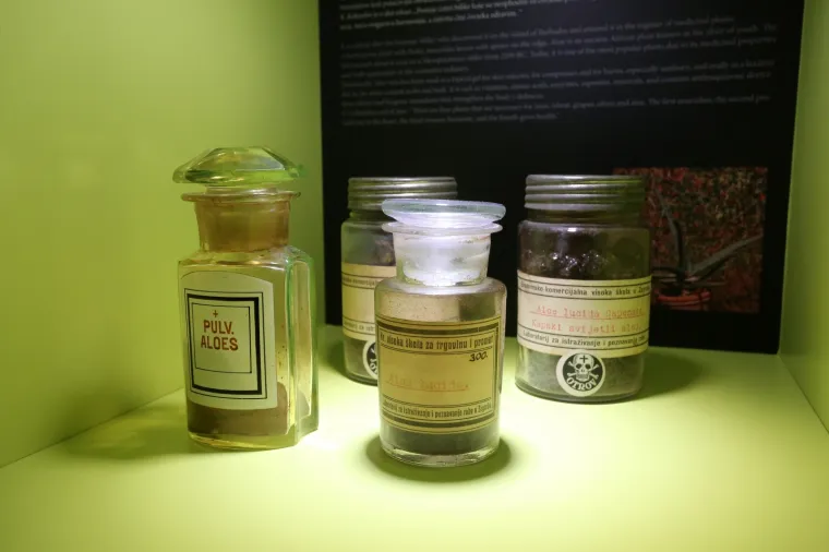 U Rijeci otvoren prvi hrvatski specijalizirani Muzej farmacije: Zmija i ljekarnik Pablo nude pregr&scaron;t savjeta