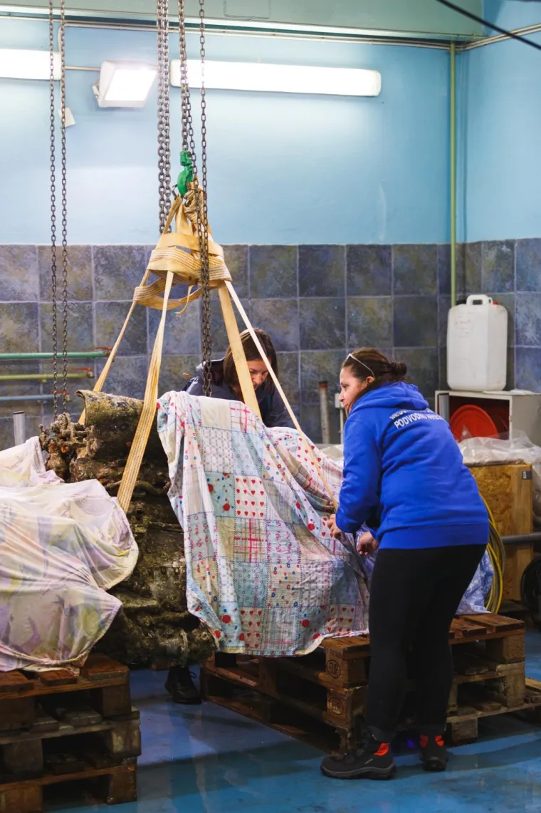 Iz mora kod Rovinja izvučen motor Rolls Royce Merlin. Je li riječ o zrakoplovu Hurricane sru&scaron;enom u rujnu 1944. godine?