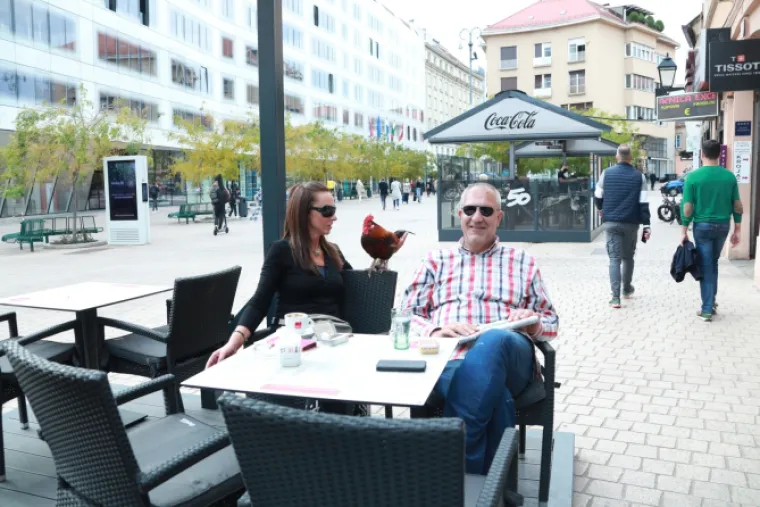 Ovo još nismo vidjeli: Pogledajte s kojom je životinjom ovaj par pio kavu u centru Zagreba