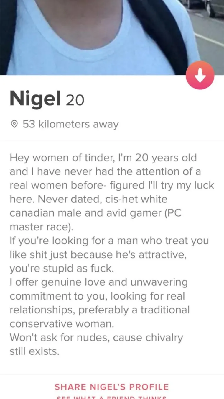 &lsquo;DOBRI DEČKI&rsquo; POSTALI PREDMET SPRDNJE NA INTERNETU: Naježit ćete se od groznih poruka koje &scaron;alju curama