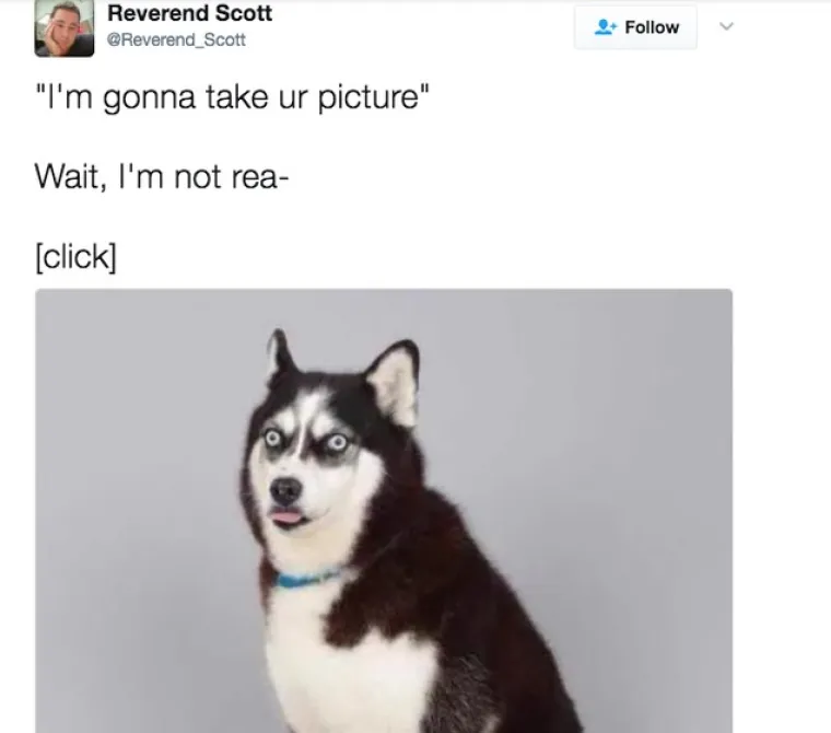 10 SLIKA KOJE OD KOJIH ĆETE SE ZAHIHOTATI NA GLAS: Ako netko ostane ozbiljan, platite mu pivu