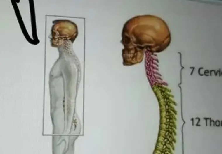 10 SLIKA KOJE OD KOJIH ĆETE SE ZAHIHOTATI NA GLAS: Ako netko ostane ozbiljan, platite mu pivu