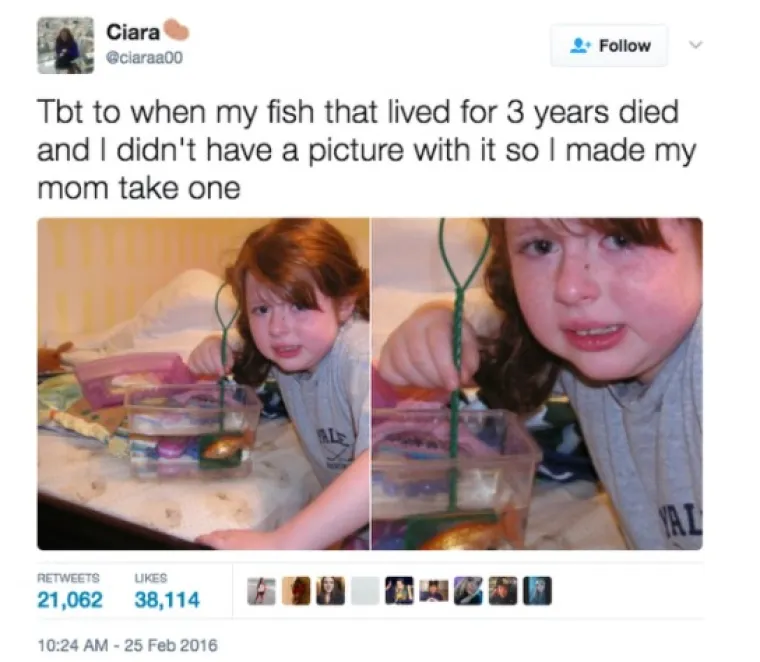 10 SLIKA KOJE OD KOJIH ĆETE SE ZAHIHOTATI NA GLAS: Ako netko ostane ozbiljan, platite mu pivu