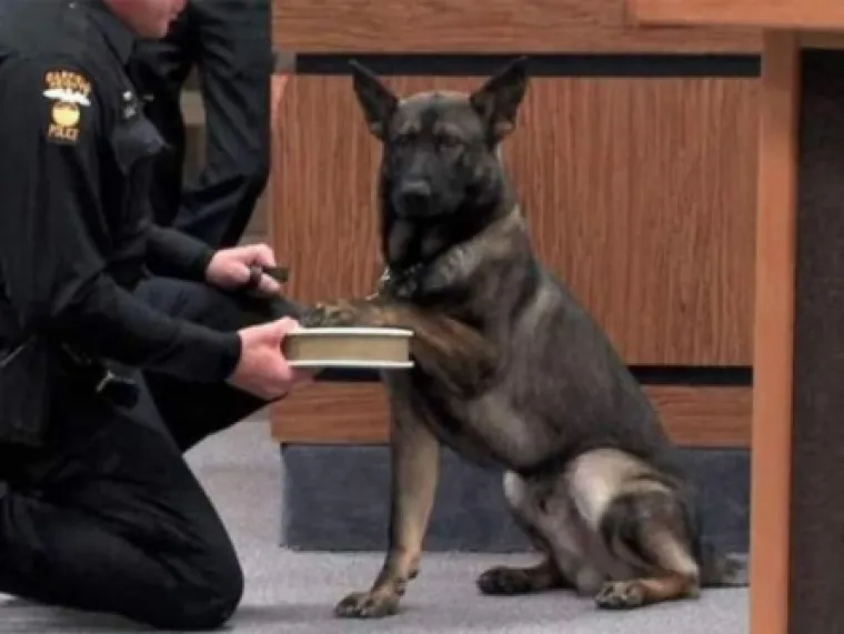 10 SLIKA KOJE OD KOJIH ĆETE SE ZAHIHOTATI NA GLAS: Ako netko ostane ozbiljan, platite mu pivu