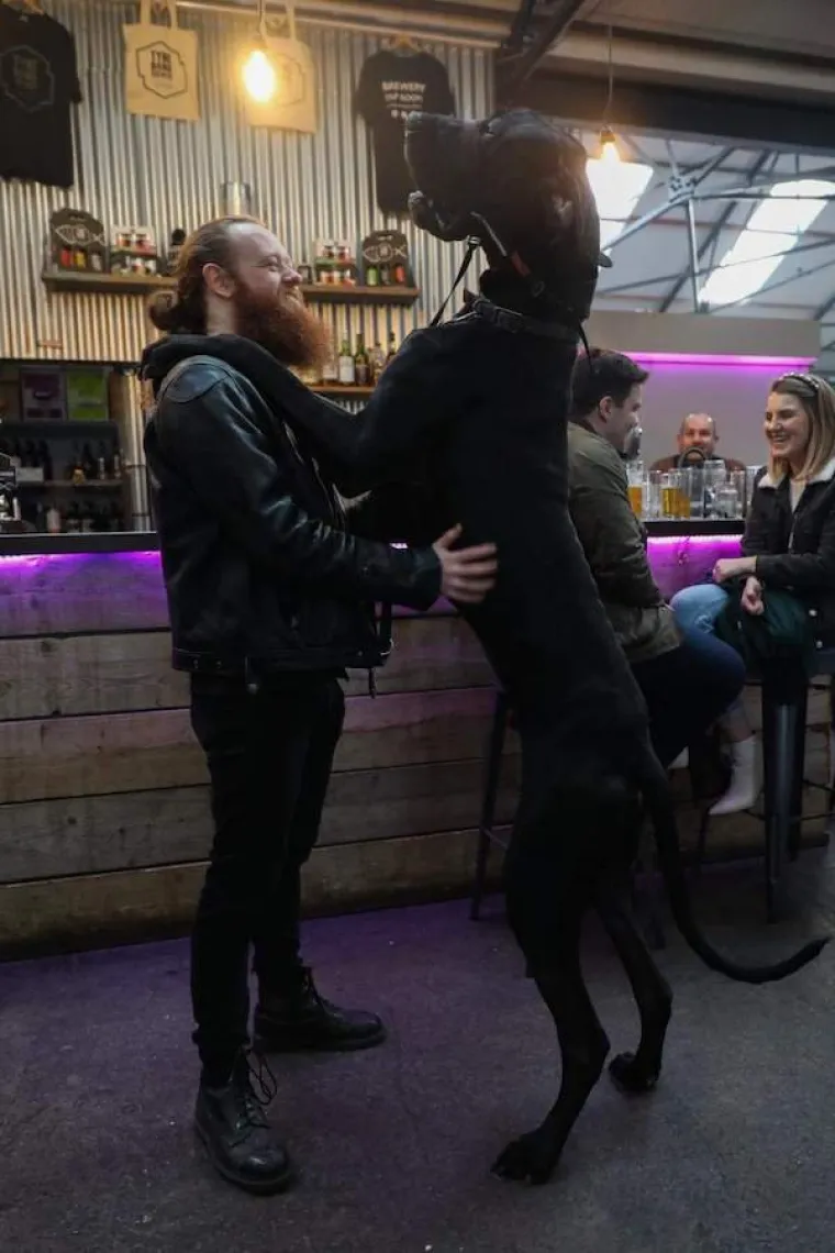 &Scaron;TO KADA JE PAS VELIK KAO TELE? Ovi vlasnici pokazali su sve 'čari' odgoja velikih pasa