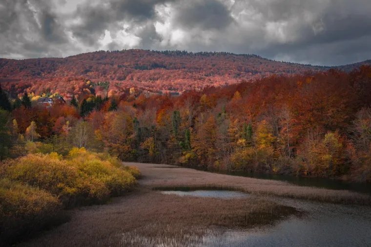 Odmor za oči, priroda kao lijek: Nekima se čini kao da se jesen ove te&scaron;ke godine posebno potrudila