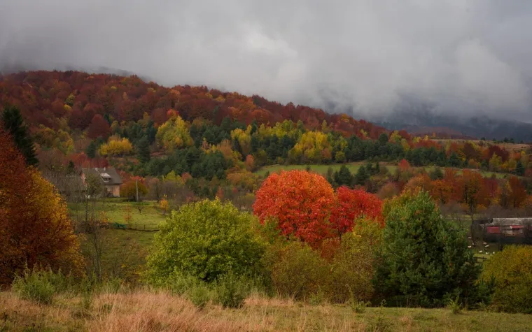 Odmor za oči, priroda kao lijek: Nekima se čini kao da se jesen ove te&scaron;ke godine posebno potrudila