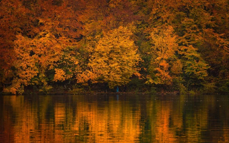 Odmor za oči, priroda kao lijek: Nekima se čini kao da se jesen ove te&scaron;ke godine posebno potrudila