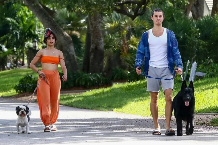 Shawn Mendes i  Camila Cabello
