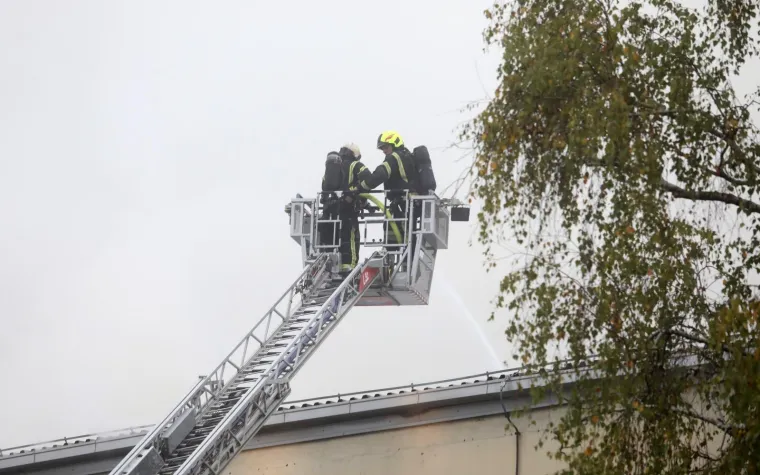 Photo: Patrik Macek/PIXSELL