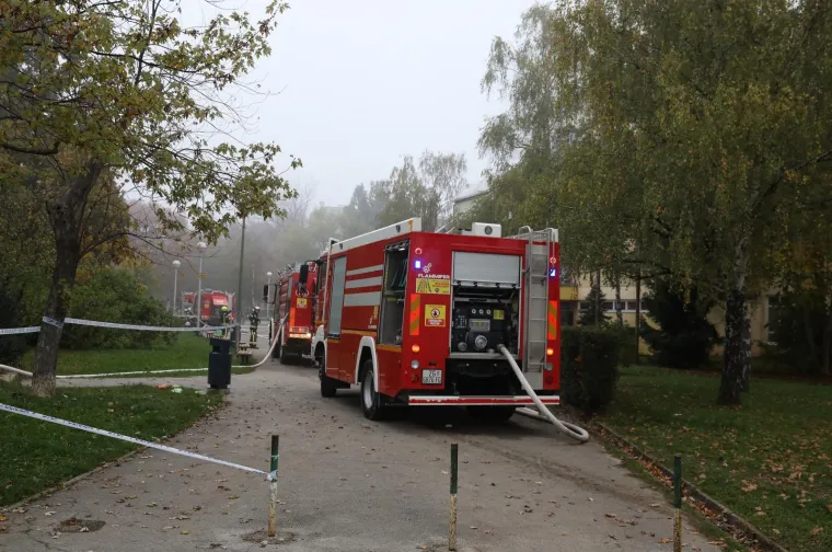 Photo: Patrik Macek/PIXSELL