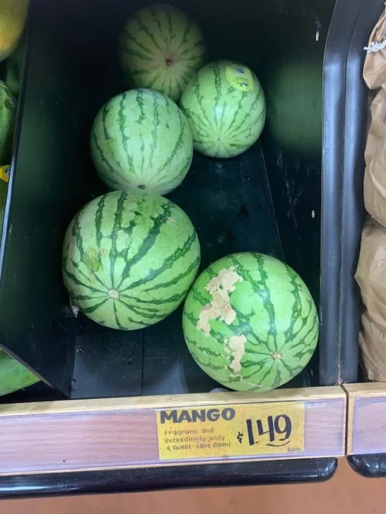 PA &Scaron;TO IM JE U GLAVI? Zbog ovih 13 genijalaca odmah ćete se osjećati lak&scaron;e zbog one svoje gluposti koju ste napravili